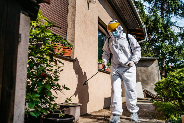 Pest Control for Restaurants in Town And Country, WA